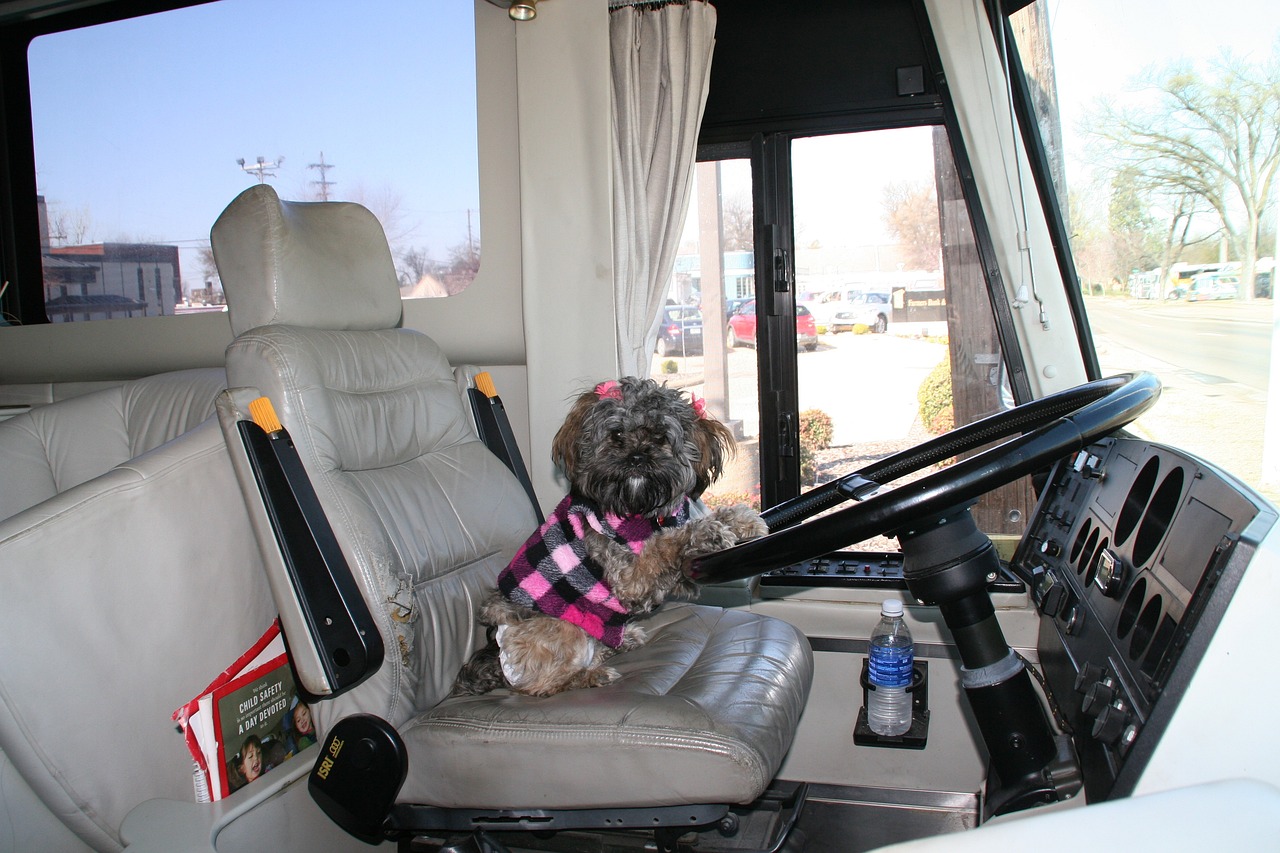 dog pet friendly bus service